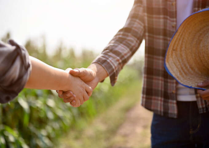 Close up view of farmers shaking hands and making an agreement while standing in a cornfield